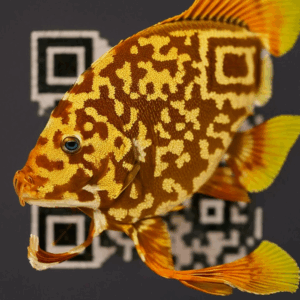 get_qrcroc_com (16)